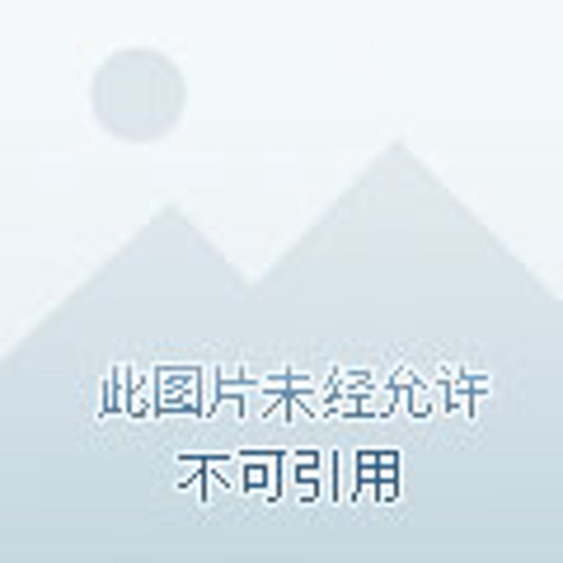 医用耗材行业：市场动态与发展趋势